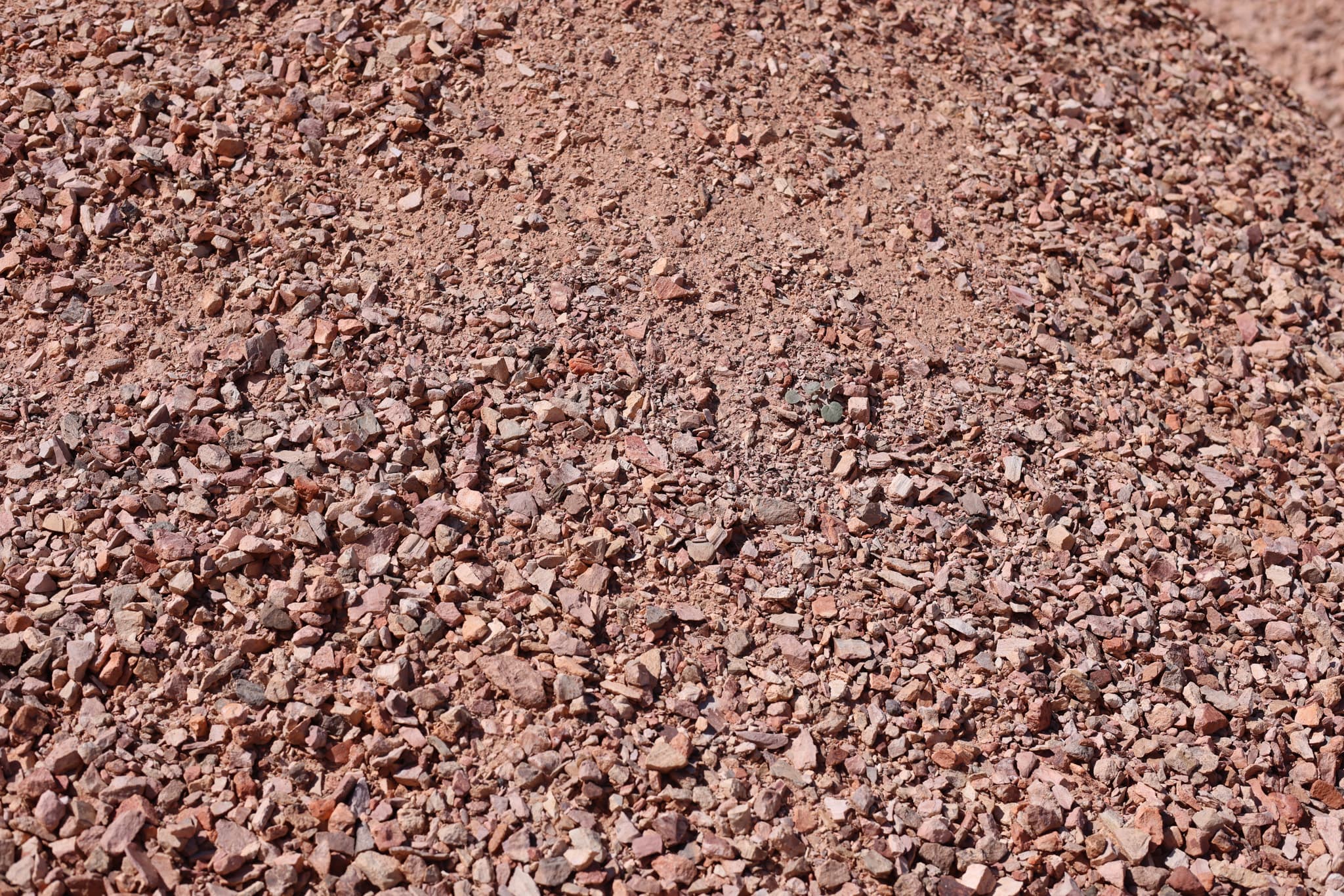 Arizona Blonde Rock