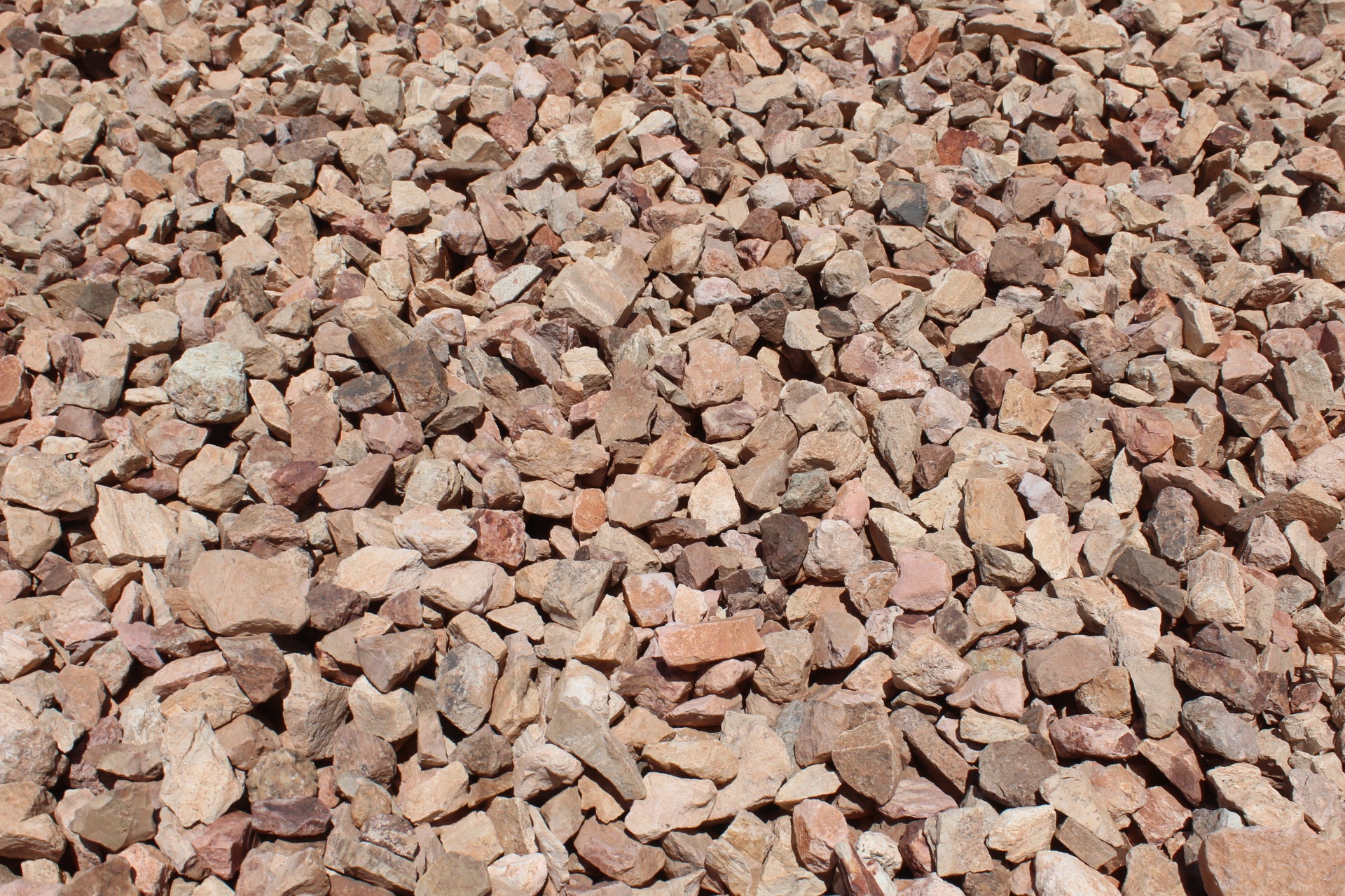 Arizona Blonde – West Valley Rock