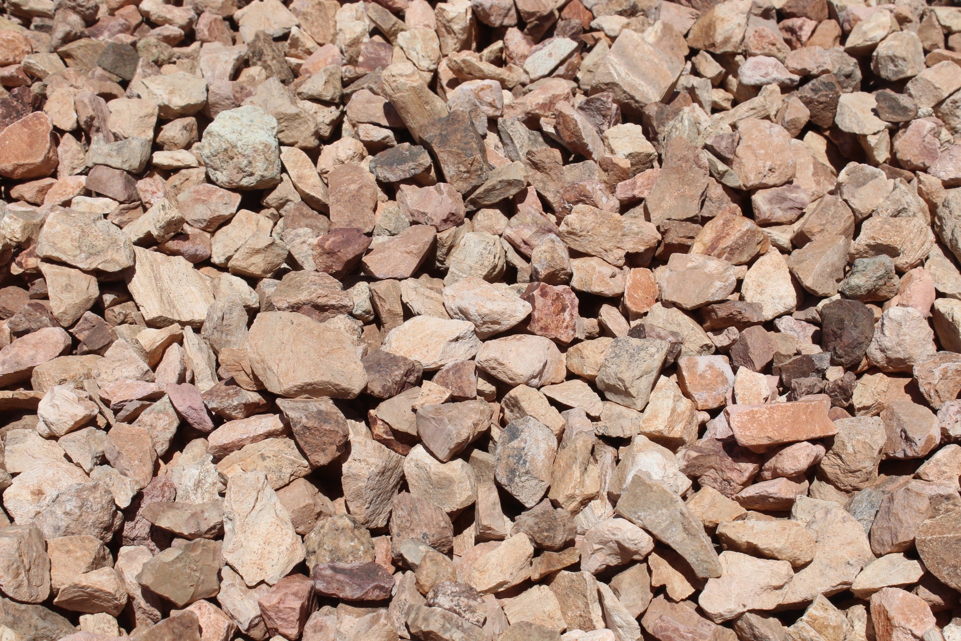 Arizona Blonde – West Valley Rock
