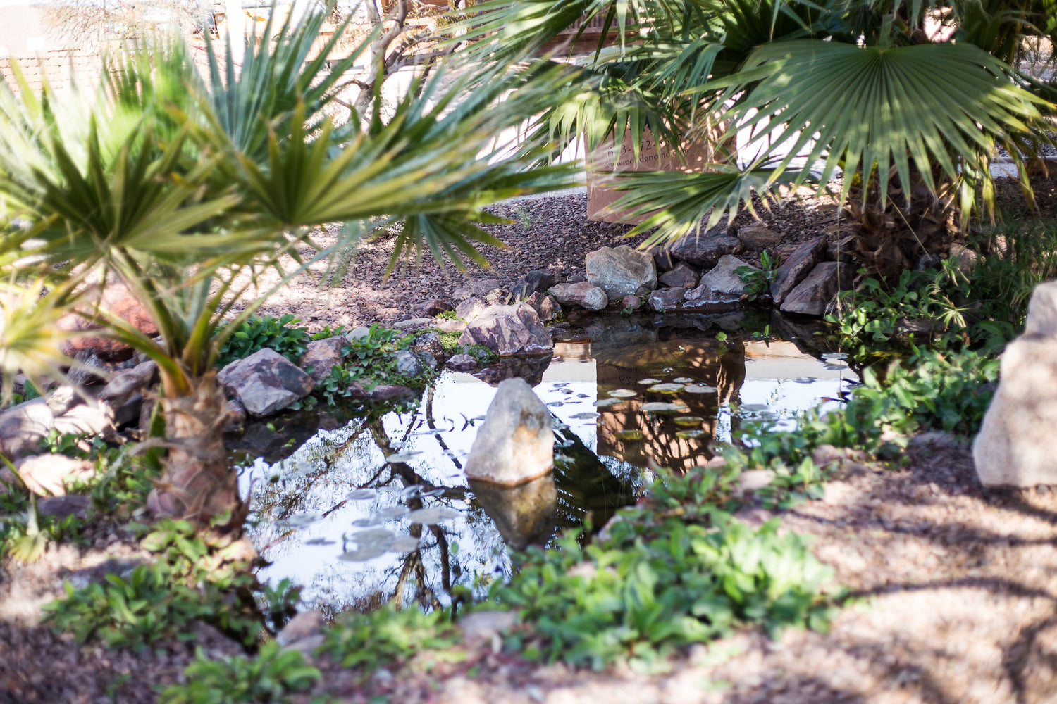 River rocks: Versatile garden mulch, edging, and decorative elements in various sizes and colors.