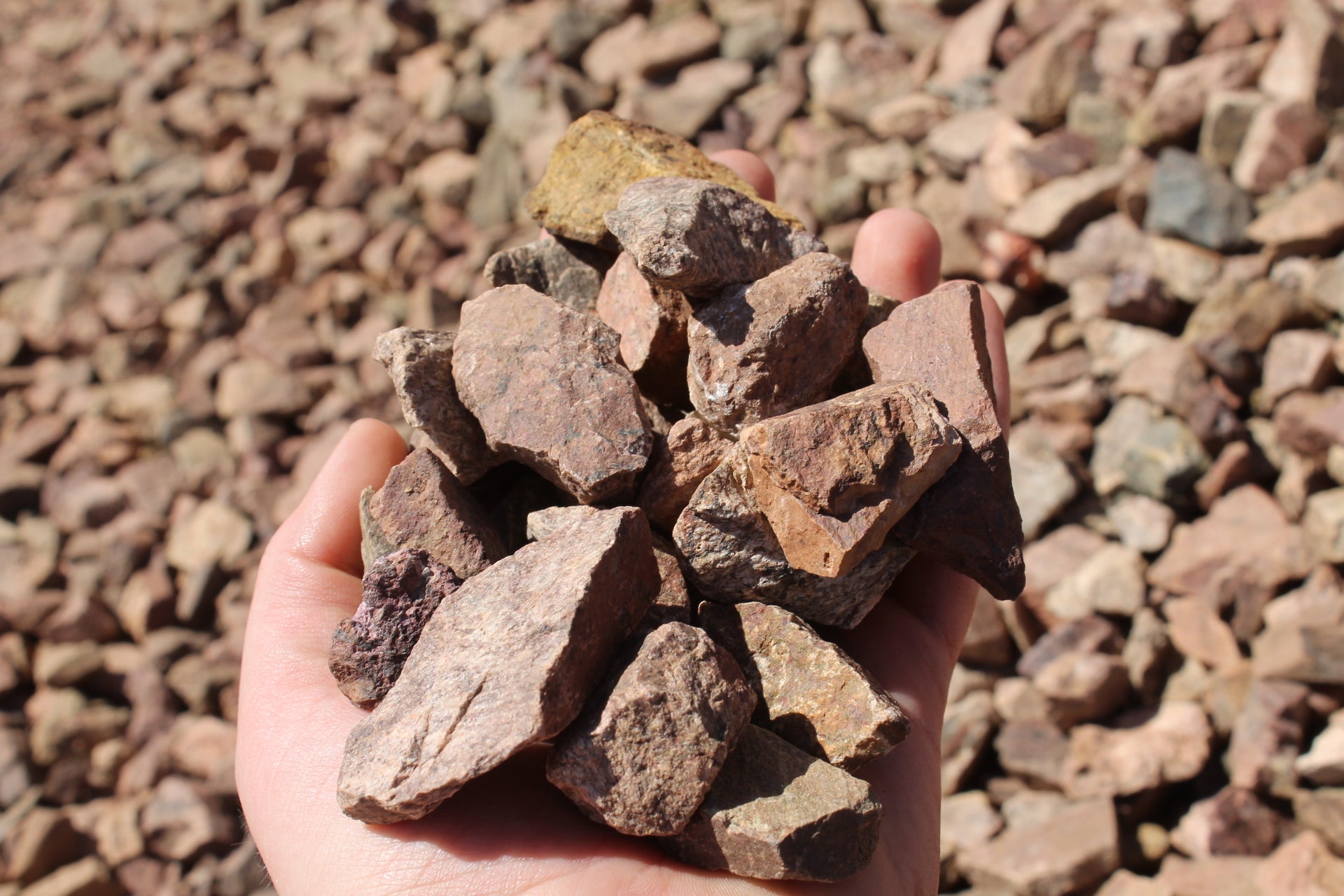 Ponderosa Platinum – West Valley Rock